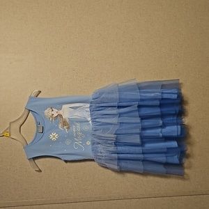 Frozen II Dress